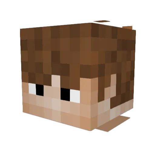 GrubbierPark255 Minecraft avatar head, 3D render