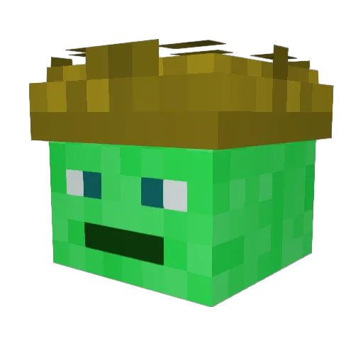 GrubbyMist59541 Minecraft avatar head, 3D render