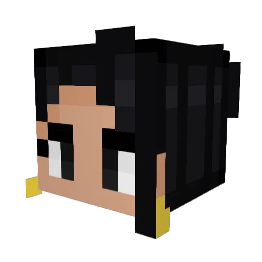 Grubbyduck04 Minecraft avatar head, 3D render
