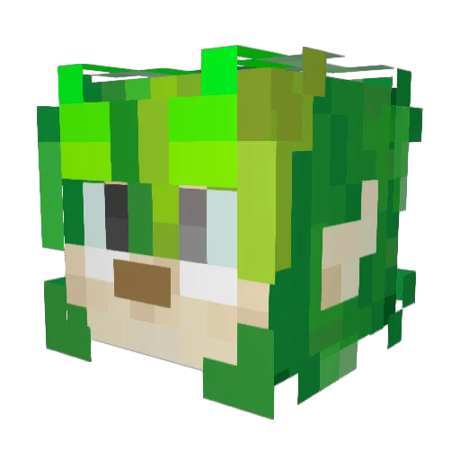 Gruberfly Minecraft avatar head, 3D render
