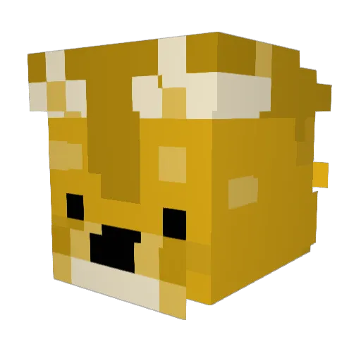 Grubson_G Minecraft avatar head, 3D render