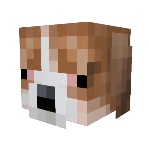 Gruby_RoGGuS Minecraft avatar head, 3D render