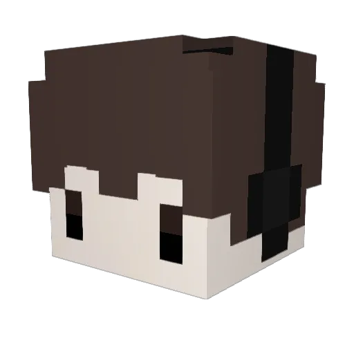 Grude_ Minecraft avatar head, 3D render