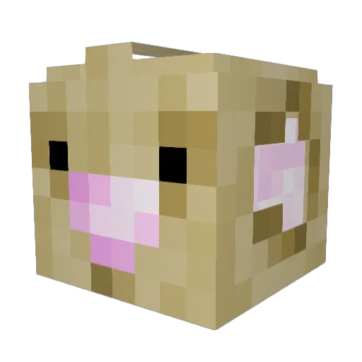 GruffGryph Minecraft avatar head, 3D render