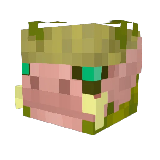 Grumlen Minecraft avatar head, 3D render