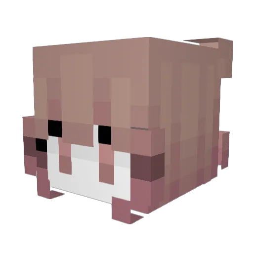 Grumm9299 Minecraft avatar head, 3D render