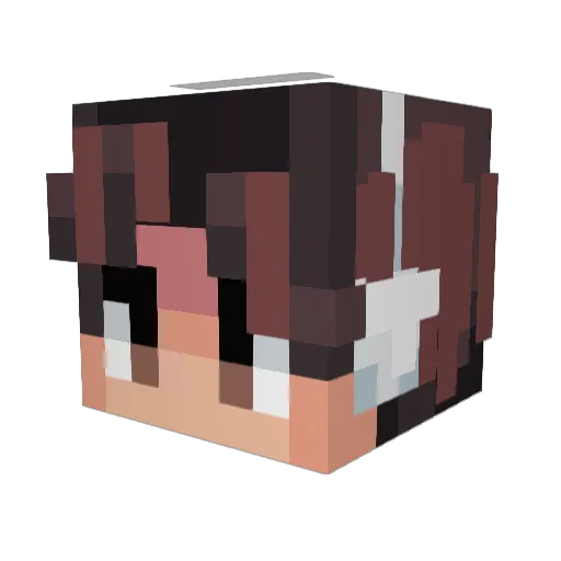 Grummi1 Minecraft avatar head, 3D render