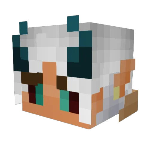 Grumpier_Cat Minecraft avatar head, 3D render