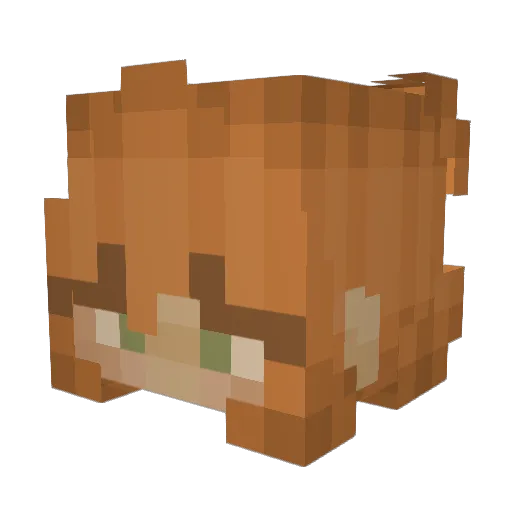 GrumpiestDuckie Minecraft avatar head, 3D render