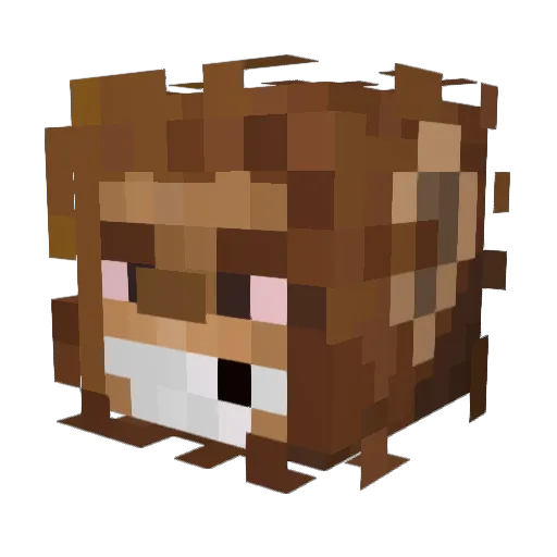 Grumpus1888 Minecraft avatar head, 3D render