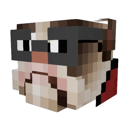 GrumpyCatLover1 Minecraft avatar head, 3D render
