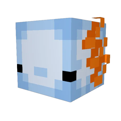 GrumpyCatWitch Minecraft avatar head, 3D render