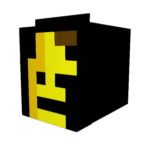 GrumpyElite Minecraft avatar head, 3D render