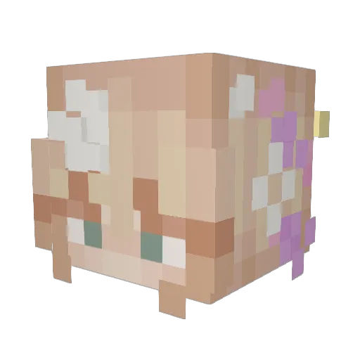 GrumpyGroot Minecraft avatar head, 3D render