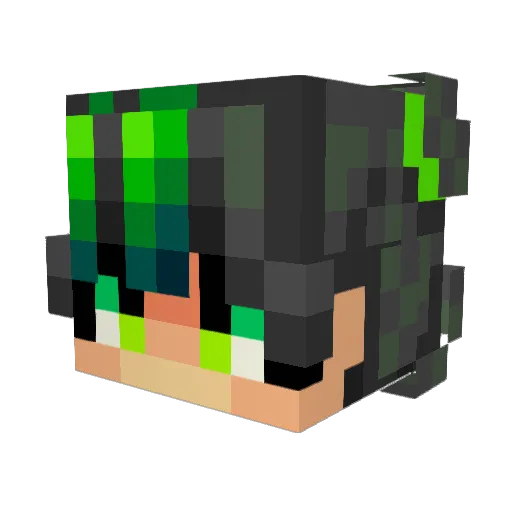 GrumpyMonkey222 Minecraft avatar head, 3D render