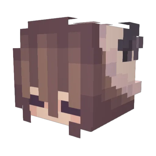 GrumpyRoll Minecraft avatar head, 3D render