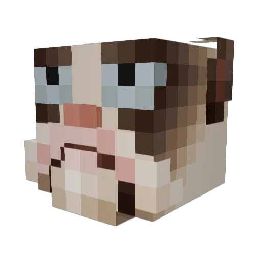 Grumpy_Cat_125 Minecraft avatar head, 3D render