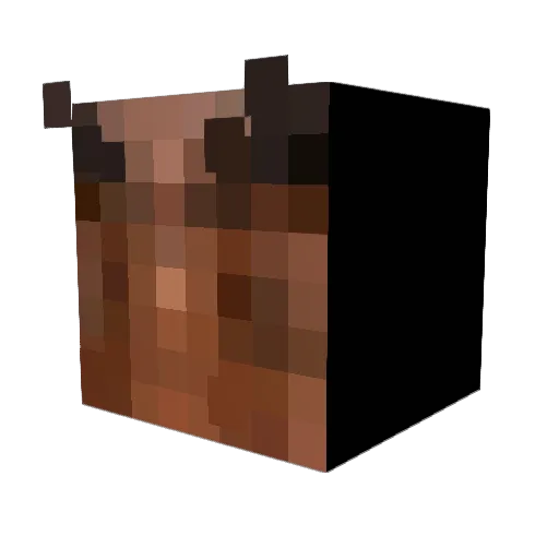 GruncleFred Minecraft avatar head, 3D render