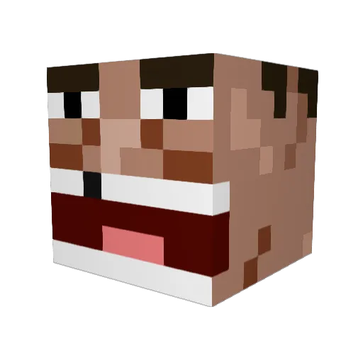 Grunga165 Minecraft avatar head, 3D render