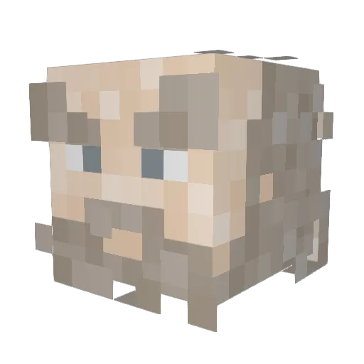 Grunksly Minecraft avatar head, 3D render