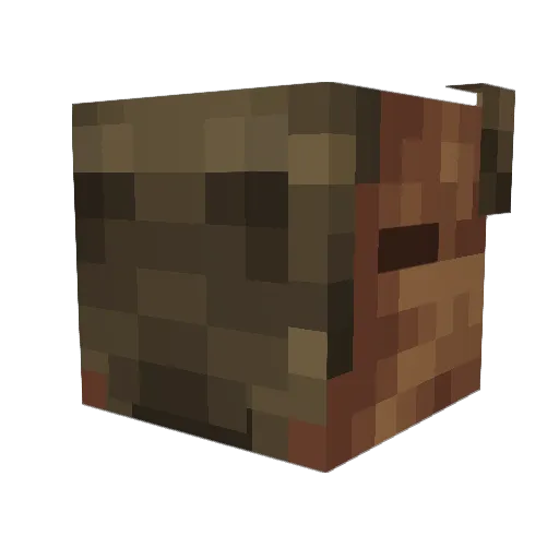 Grunty101 Minecraft avatar head, 3D render