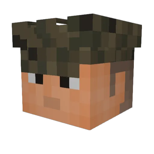 GruntyBoy0311 Minecraft avatar head, 3D render