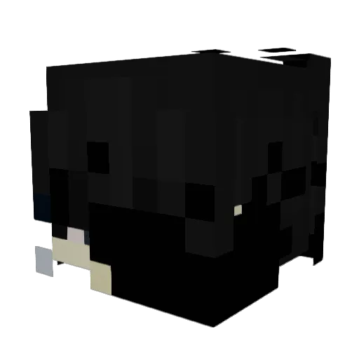 Gruswig Minecraft avatar head, 3D render