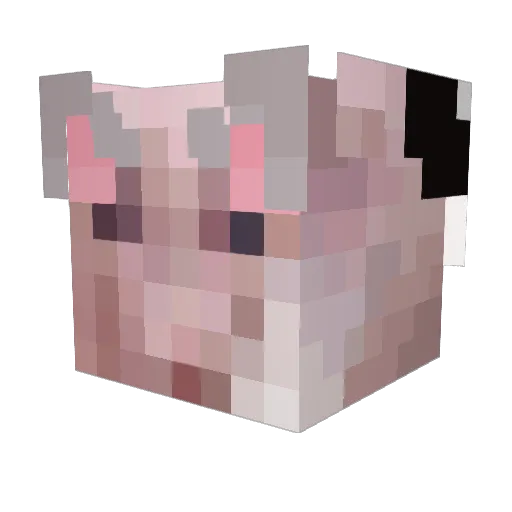 Gruubu Minecraft avatar head, 3D render