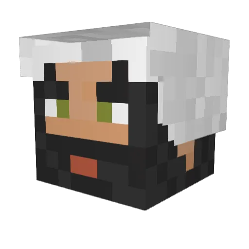Grxgio Minecraft avatar head, 3D render