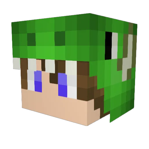 Gryf70014 Minecraft avatar head, 3D render