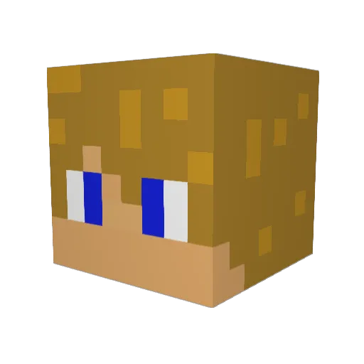 Gryffindor7 Minecraft avatar head, 3D render