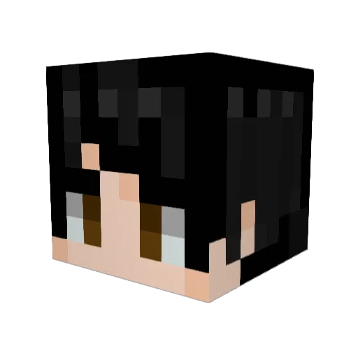 GrzesF0910 Minecraft avatar head, 3D render