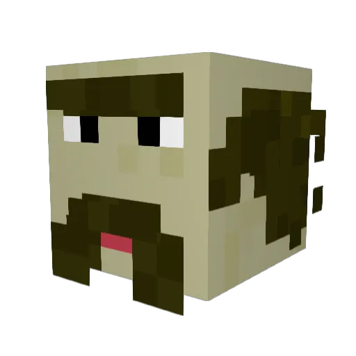 Grzybappe Minecraft avatar head, 3D render