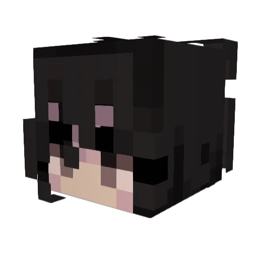 Gtvn Minecraft avatar head, 3D render