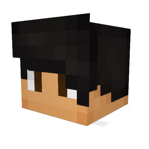 Gty200 Minecraft avatar head, 3D render