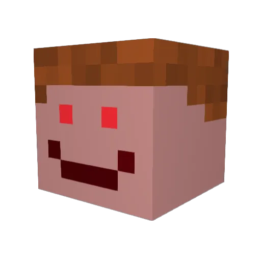 GuSisHerE Minecraft avatar head, 3D render