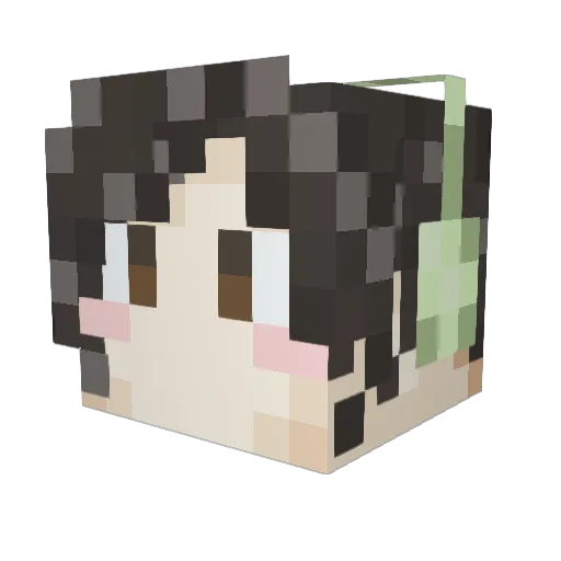 GuacamoleBoi Minecraft avatar head, 3D render