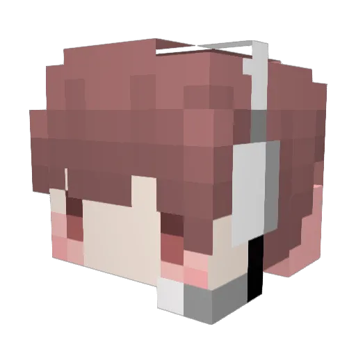 Guacamole_0510 Minecraft avatar head, 3D render