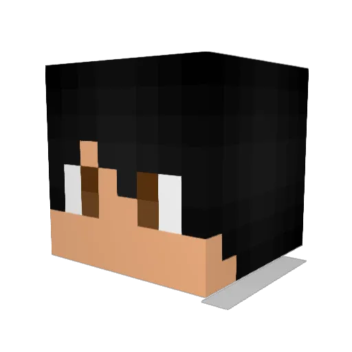 Guachupi Minecraft avatar head, 3D render