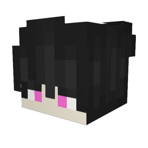 Guaguagua_ Minecraft avatar head, 3D render