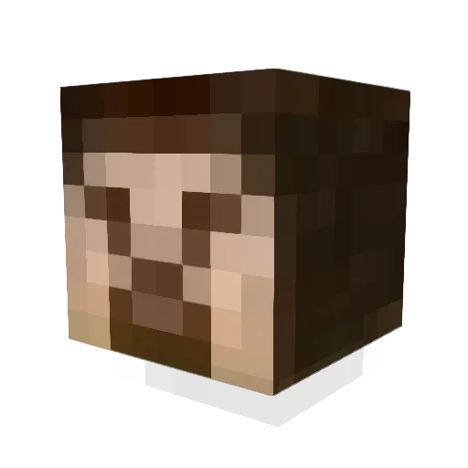 Guaranazinho Minecraft avatar head, 3D render