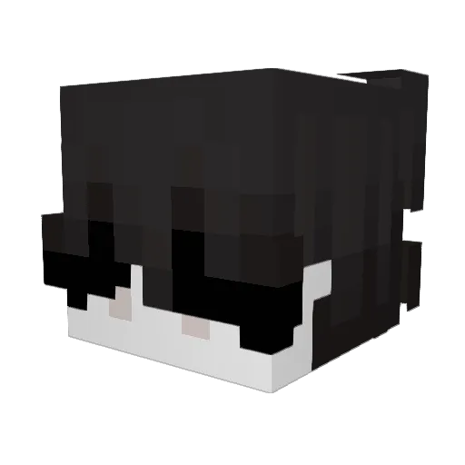 Guaspard Minecraft avatar head, 3D render