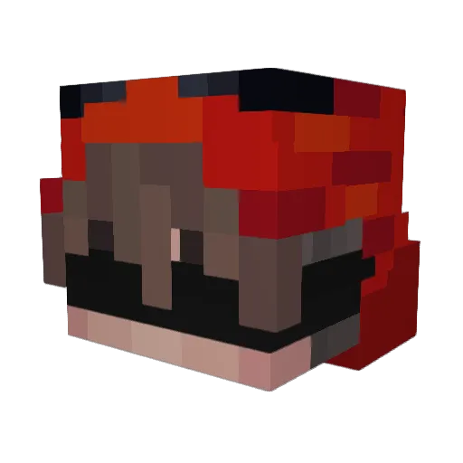 GuaxinimBwB Minecraft avatar head, 3D render