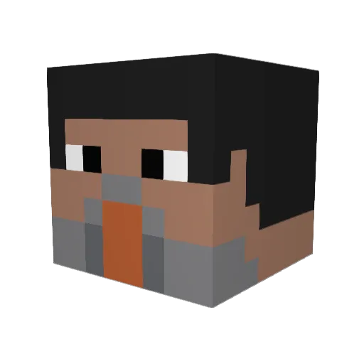 GuaxinimDeMiami Minecraft avatar head, 3D render