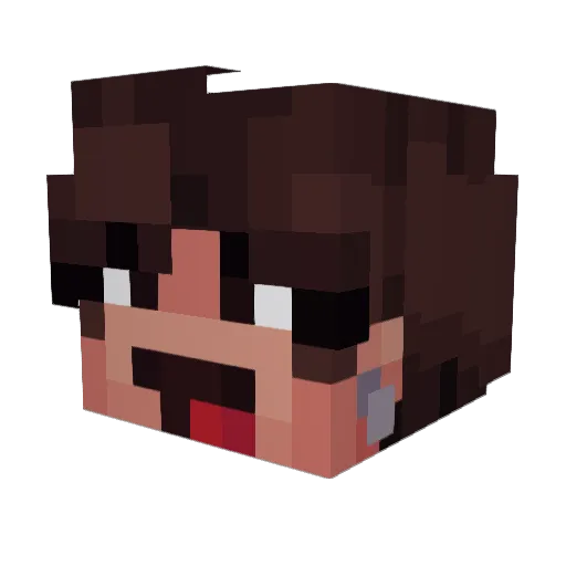 Guaxinim_XD Minecraft avatar head, 3D render