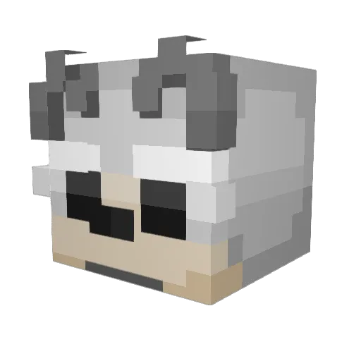 Gucio_24 Minecraft avatar head, 3D render