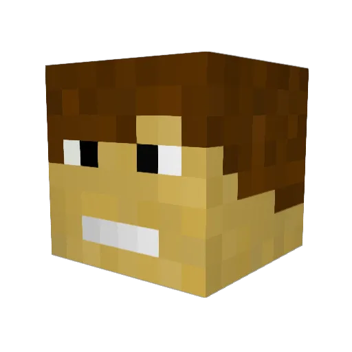 Guest_6 Minecraft avatar head, 3D render