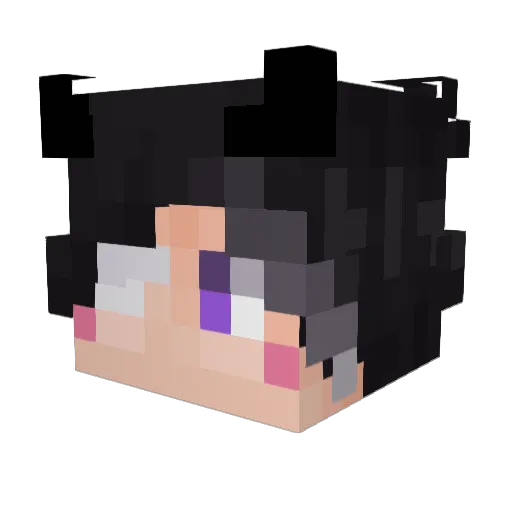 Guest_Hiko Minecraft avatar head, 3D render