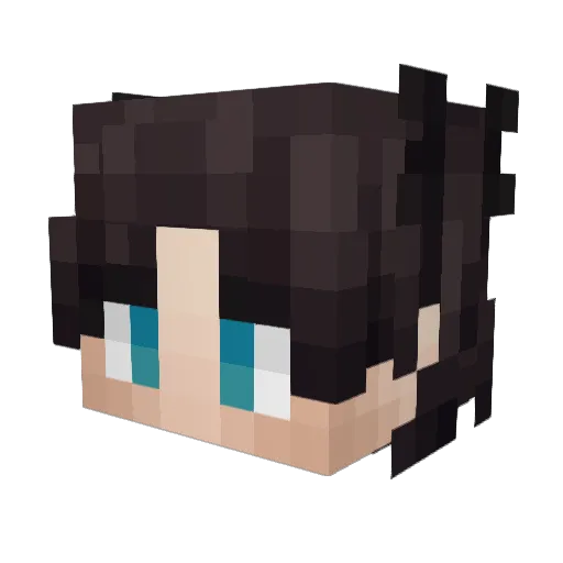 Guga688 Minecraft avatar head, 3D render