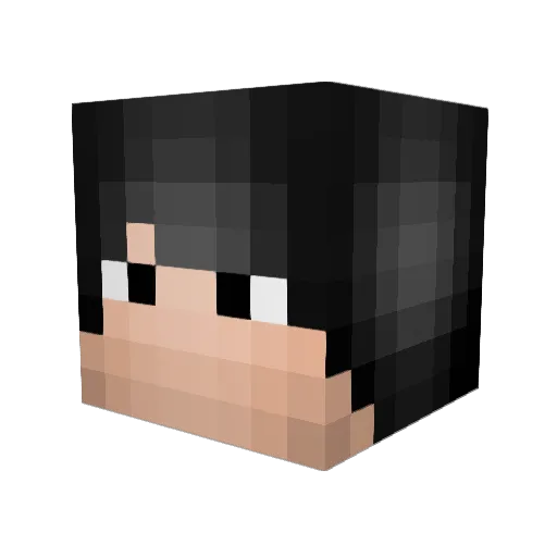 Guga_Boff1234 Minecraft avatar head, 3D render